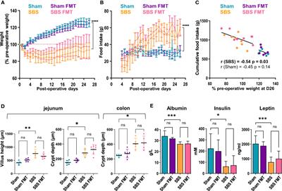 Fecal microbiota transplantation in a rodent model of short bowel syndrome: A therapeutic approach?